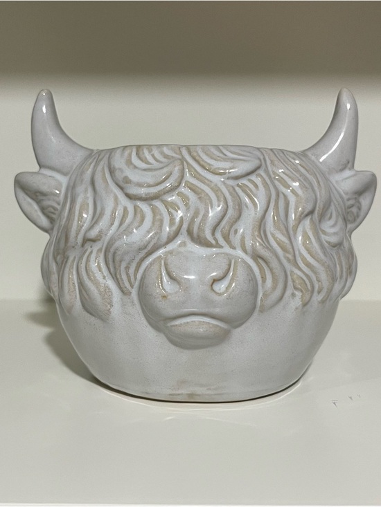 Other - White Ceramic Highland Cow Planter